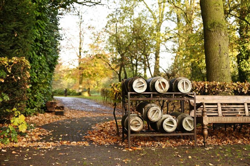 de Binnenhof - foto 49