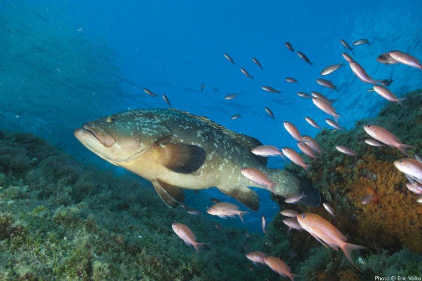 Villa le Lagon pour 4/5 personnes - foto 31