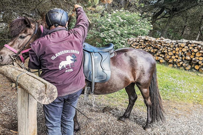 Skovhytte 4 personer - foto 4