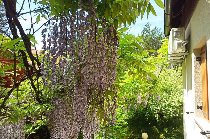 Finca "5-Schlafzimmer-Haus" mit Bergblick - foto 14