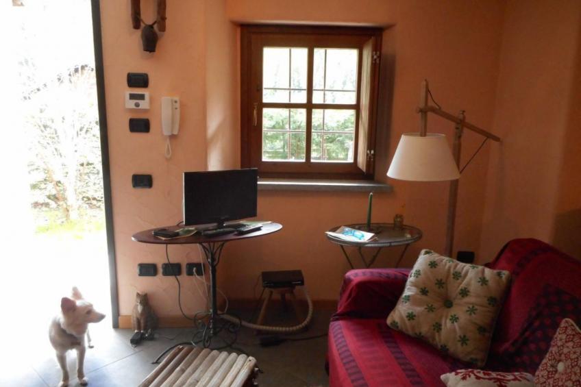 mit Bergblick - foto 23