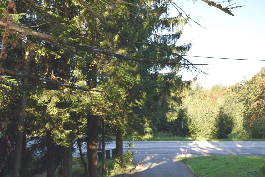 mit Terrasse, Grill und Garten - foto 21