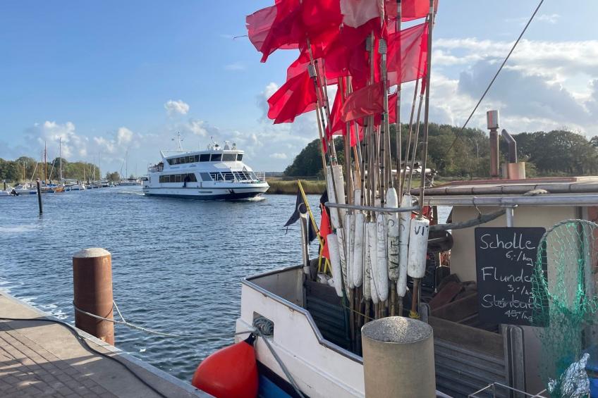 Rügenferienhaus Souterrain - foto 23