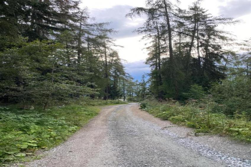 Fontanettaz V 014 - MOUNTAIN apartment 4 pers - foto 20