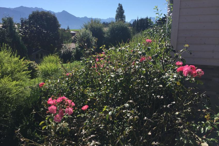 Fewo Bergblick lodge - foto 25