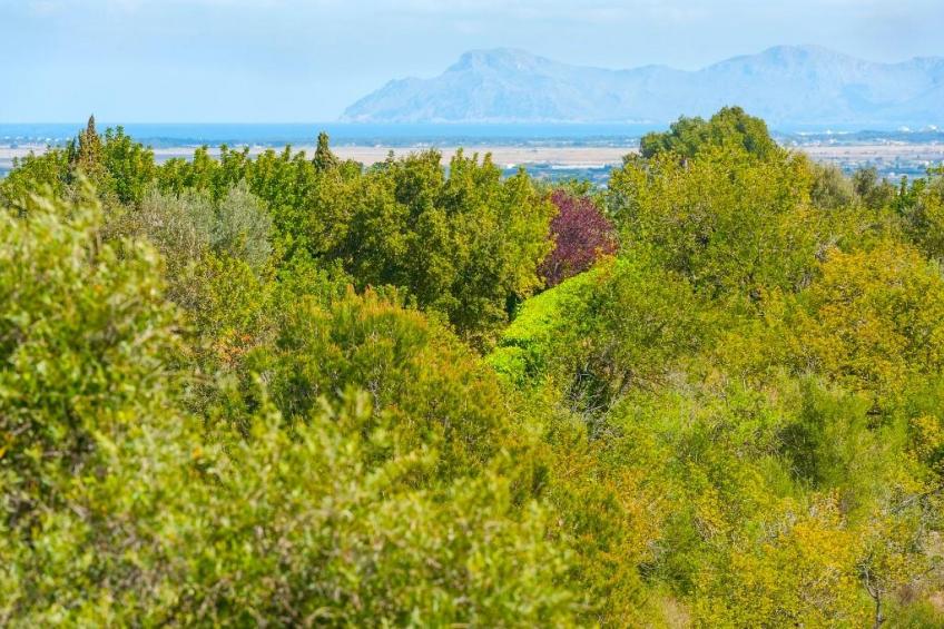 Casa Catalina Sarola - foto 25