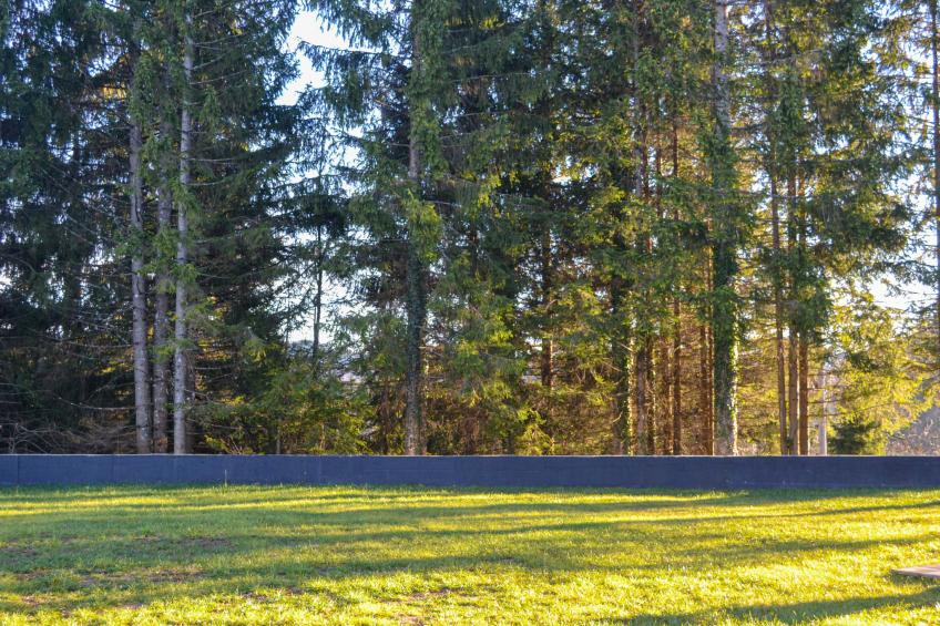 Makov Hrib - foto 17