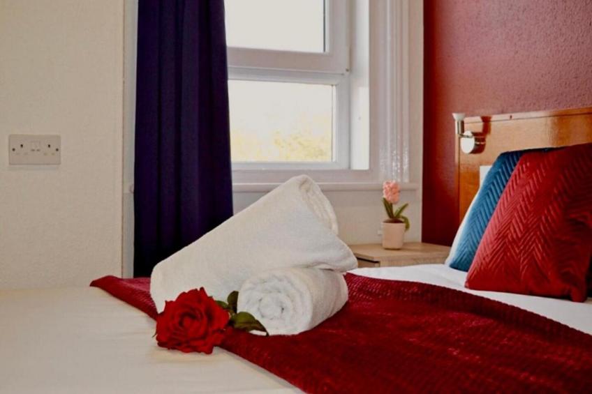One Bed Room Apartment (4 Guest) - foto 4