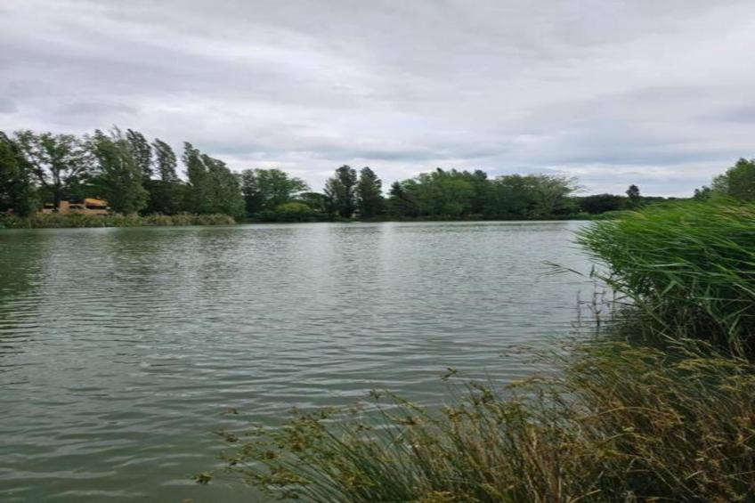 Le village Camarguais Les Gardians - foto 22