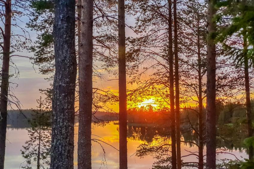 Domnan pirtti - foto 30