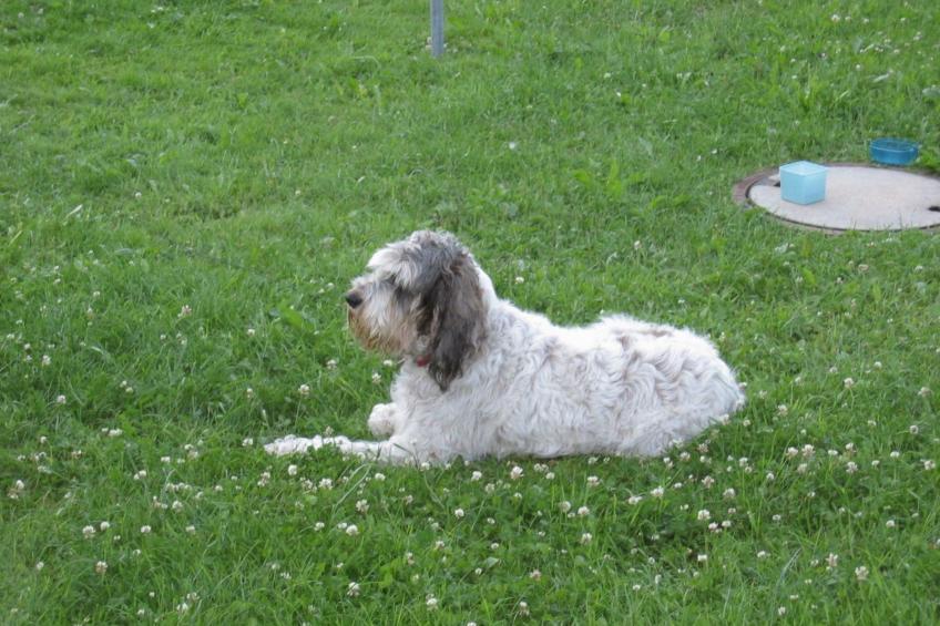 Wohnung "Fübüüni" - foto 29