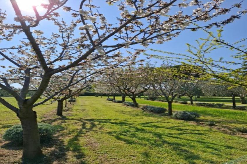 Appartamento Aurora - foto 30