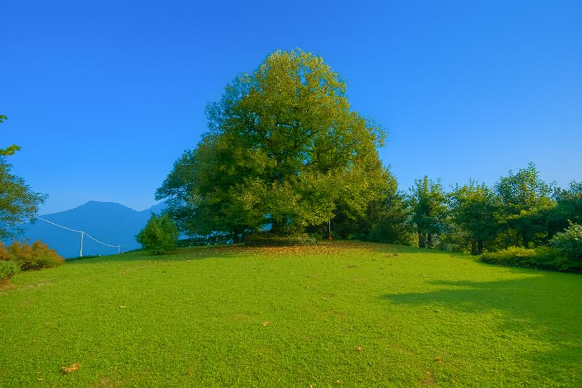 Villa Il Castagno - foto 21