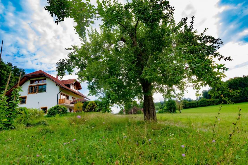 VILLA KATARINA - foto 7