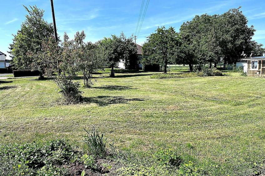 Familienhaus mit großer Wiese bei Bittburg - foto 12