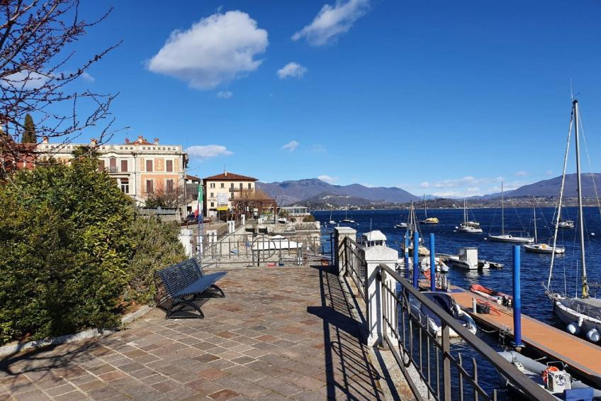 Van Gogh 2 - foto 24