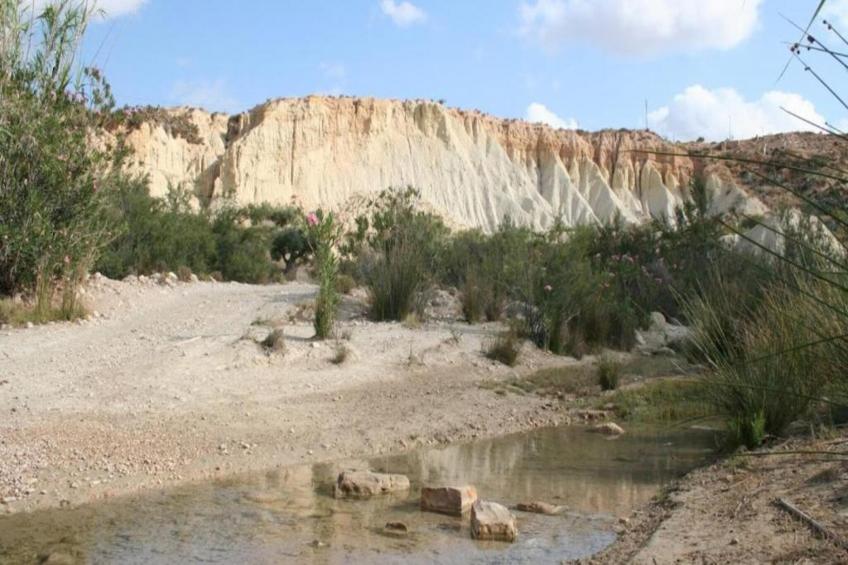 Villa Raprodet - foto 35