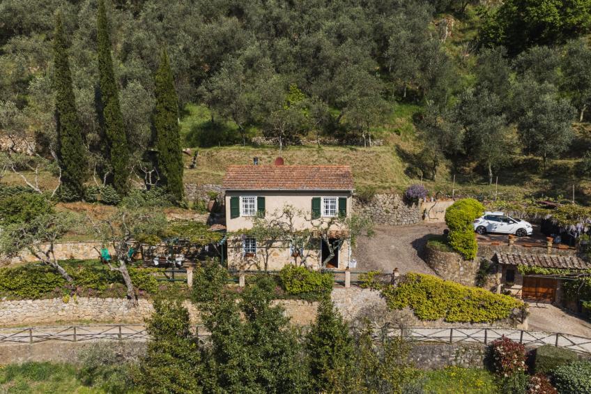 Il Glicine - foto 2