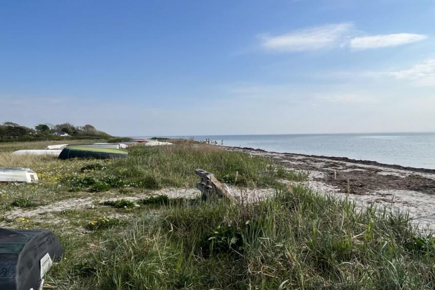 "Janna" - 75m from the sea in Sealand - foto 33