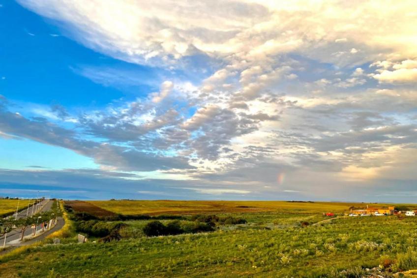 IL DELFINO - foto 33