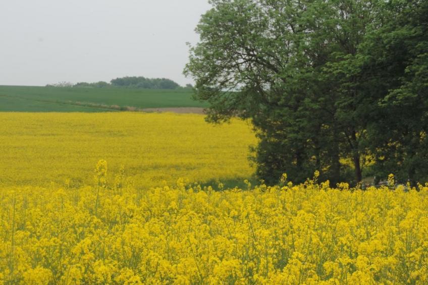 Waldblick in Vöhl-Basdorf - foto 12