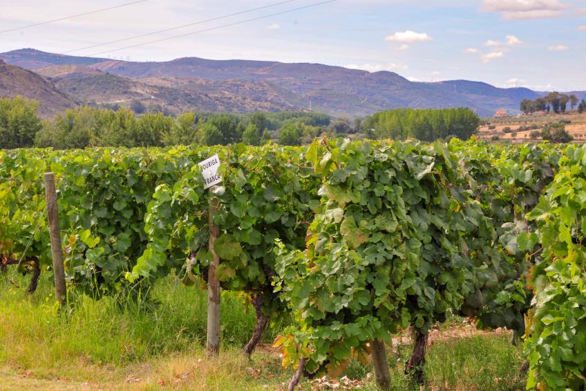 Casa do Alambique - foto 26
