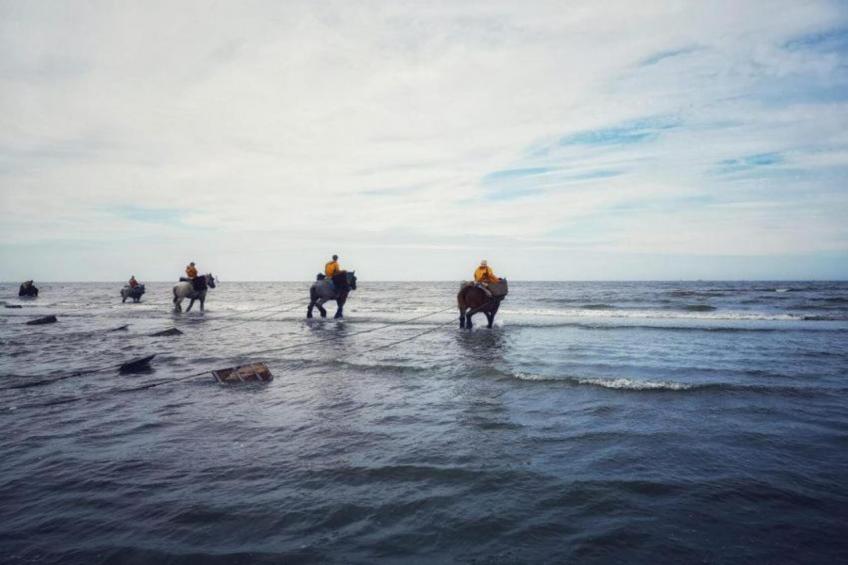 WESTDIEP/WEST31 - foto 16