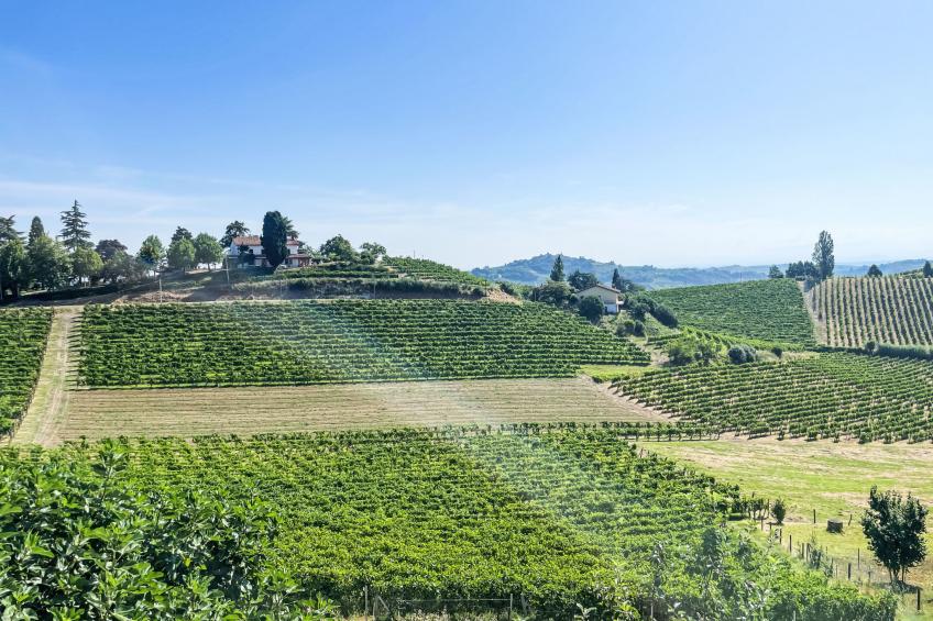 Guest House Viotti - foto 6