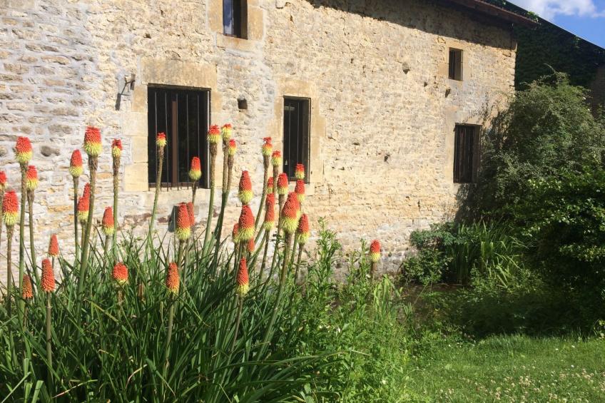 The Water Mill of Tourteron - foto 34