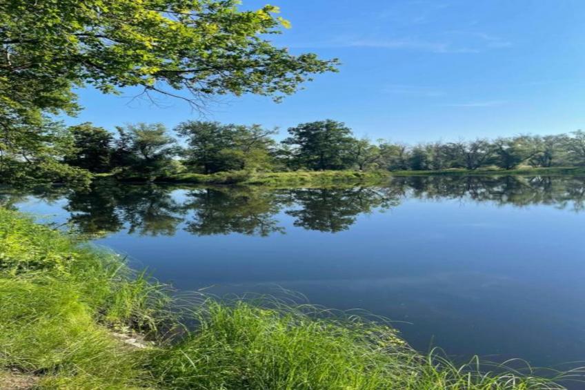 Apartment Eilenburg - foto 29