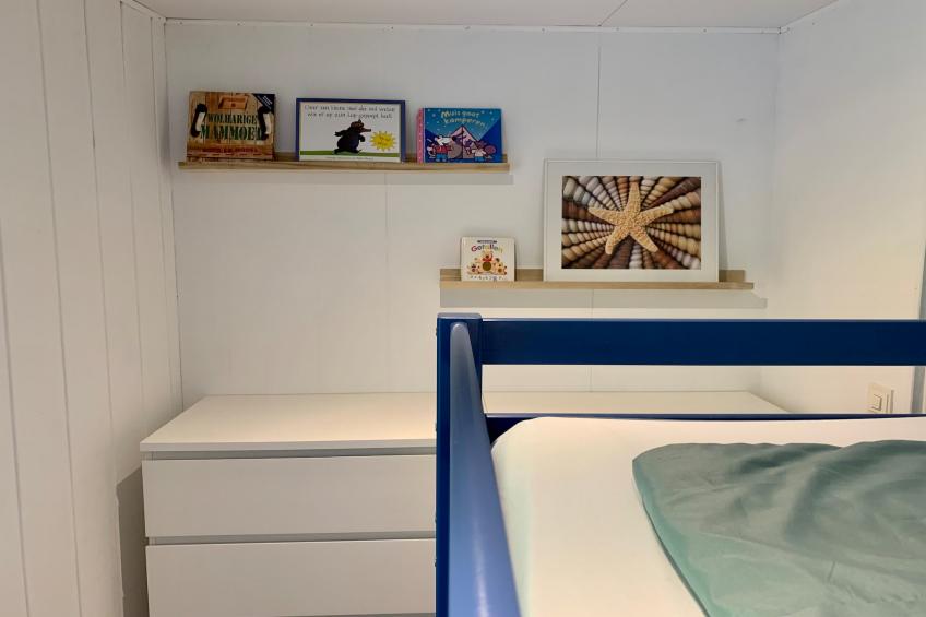 Campanula 211 - foto 17