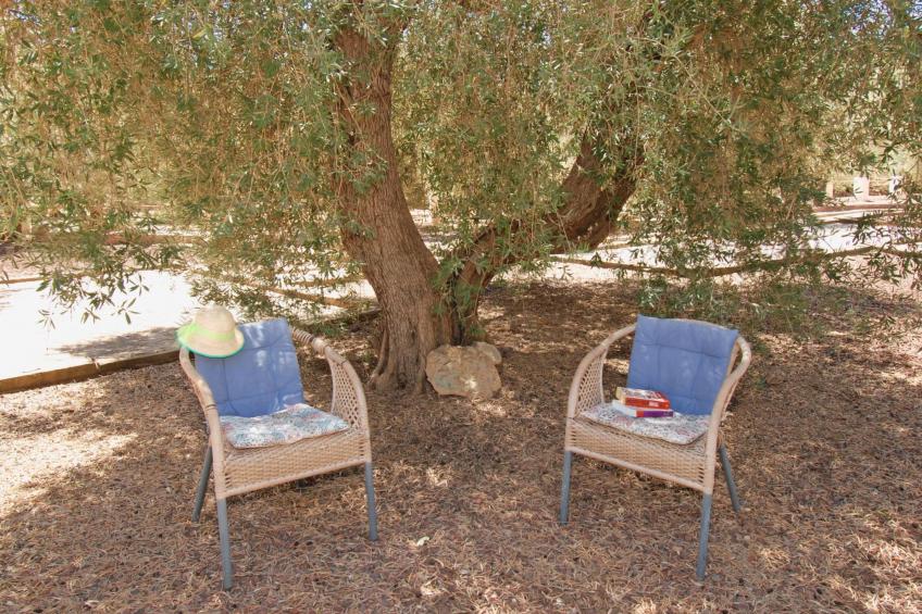 Casa The Lofties mit Pool in Andalusien - foto 37