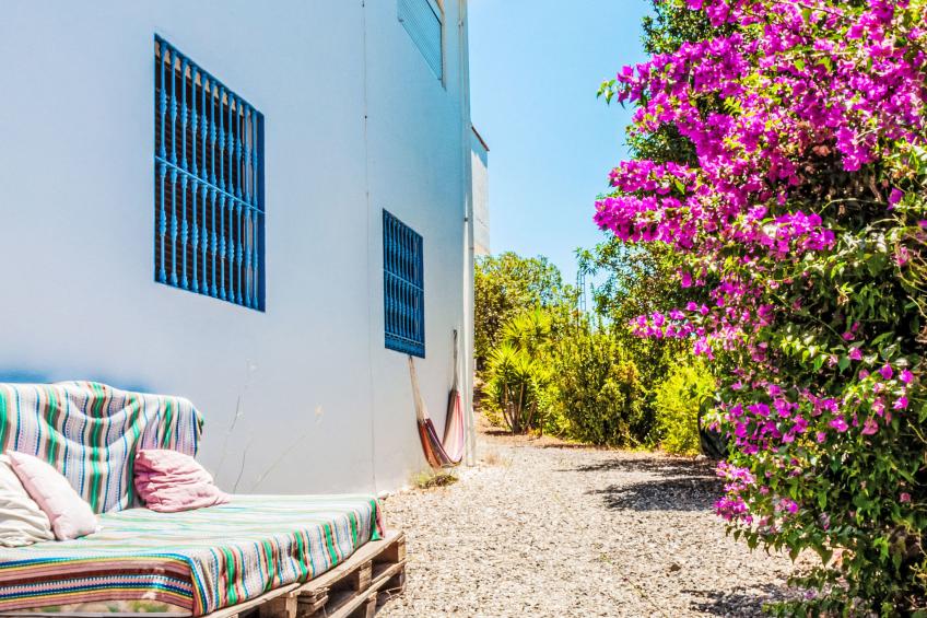 Tortuga - Nido Aguila Blanca - foto 13