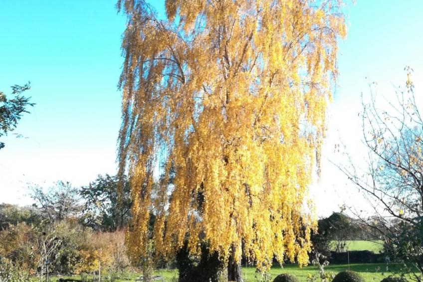 Appartement mit Wallbox - foto 50