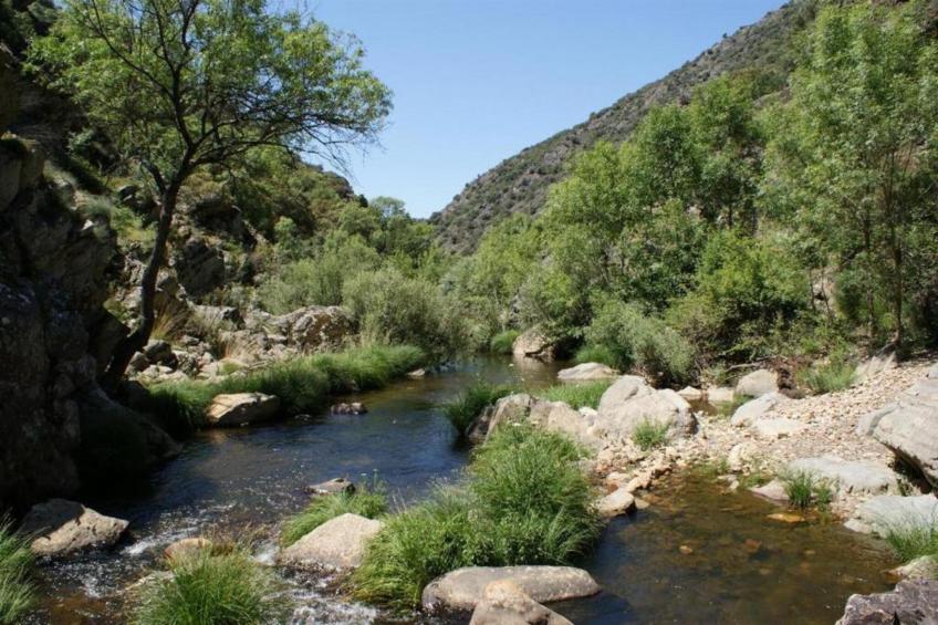 La Fuente Gorda - foto 35