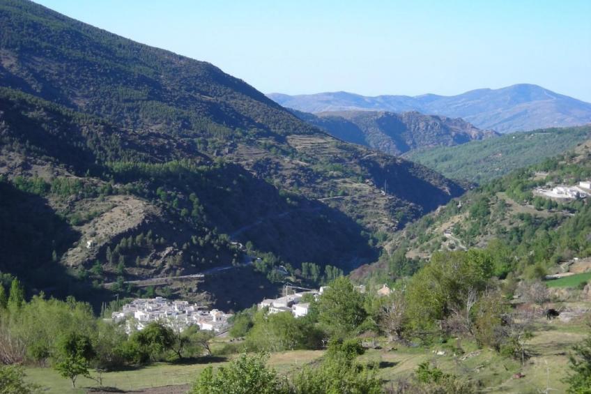 Gemütliches Ferienhaus in Tíjola mit Grill, Garten und Terrasse - foto 24