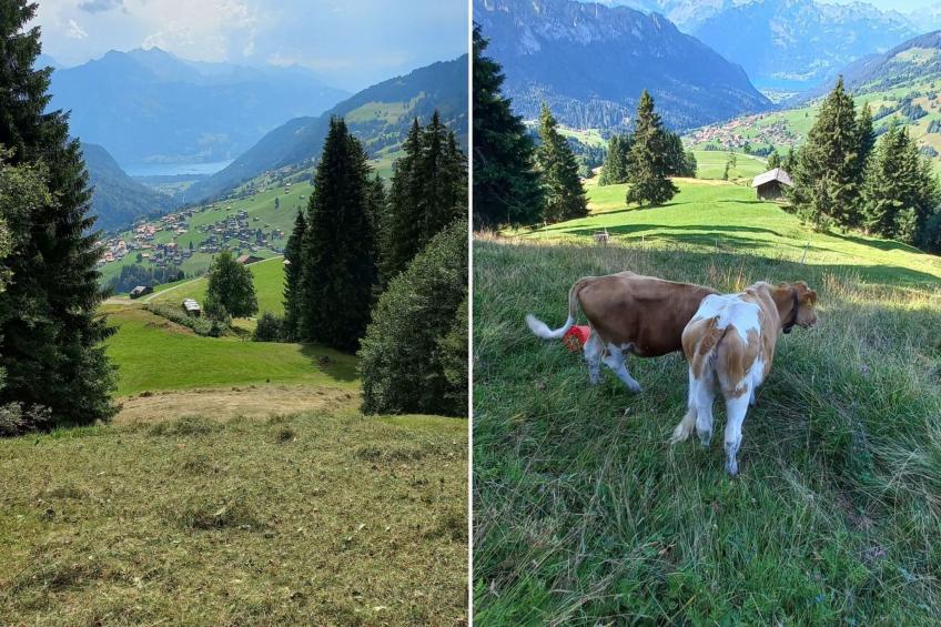 Fewo Wychelboden - foto 11