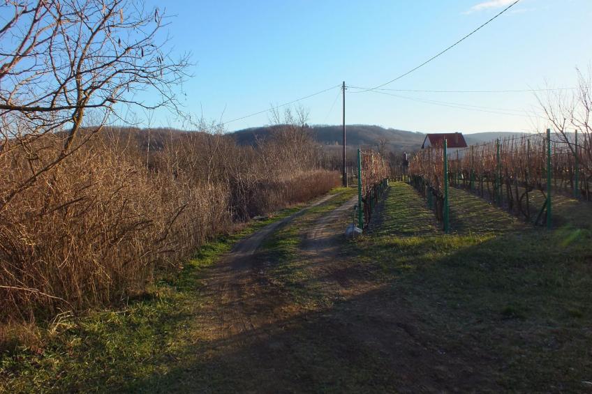 Müllers Ferienhaus Weinbergalm zum Wohlfühlen - foto 10