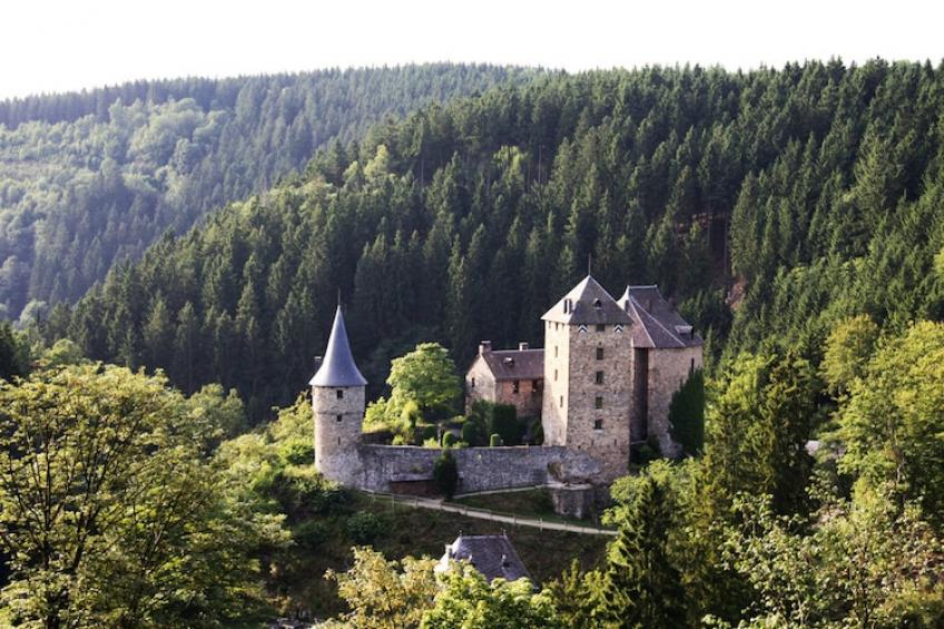 Le Chalet des Robinsons - foto 31