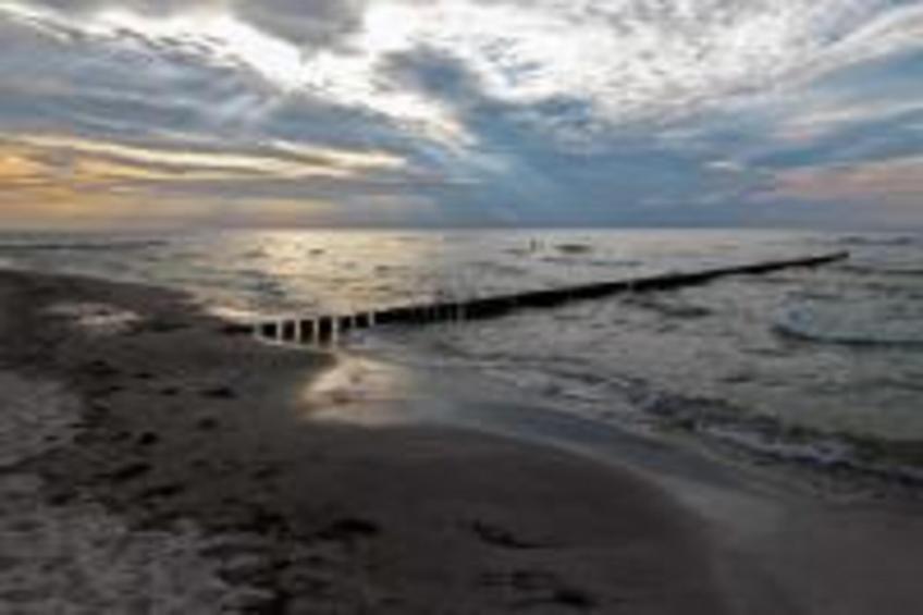 Gartenblick 1 - foto 40