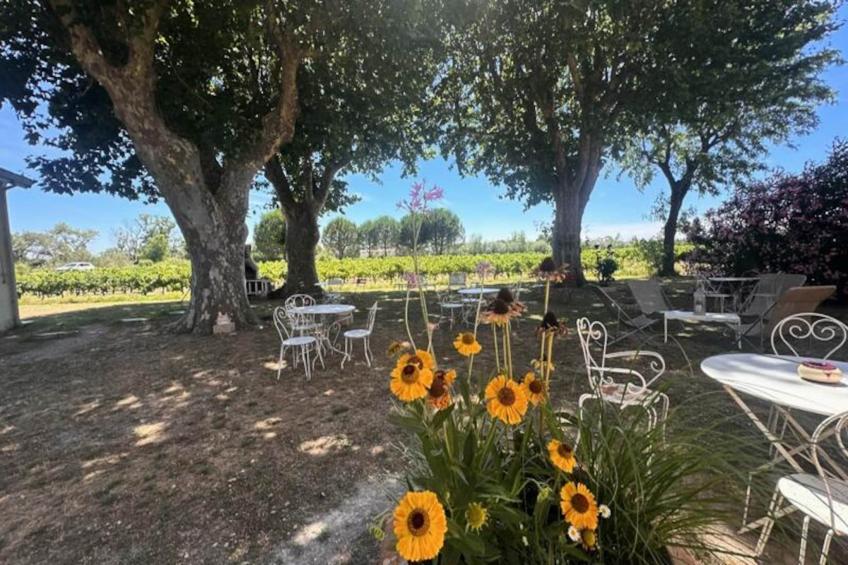 Résidence Gîte Du Mas - Charmant Gîte Provençal Avec Jardin Commun - foto 35