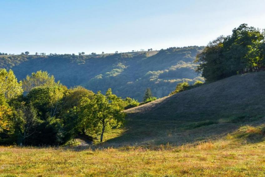 La Prentegarde - foto 27