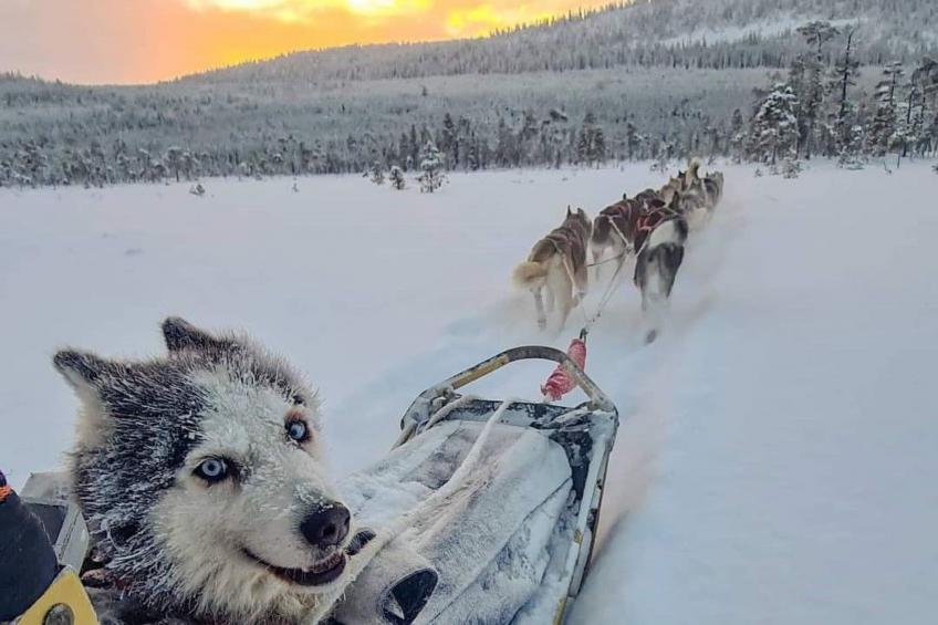 Villa Hugo - foto 35