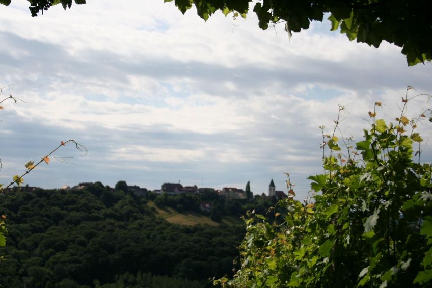 Rebenchalet - foto 7