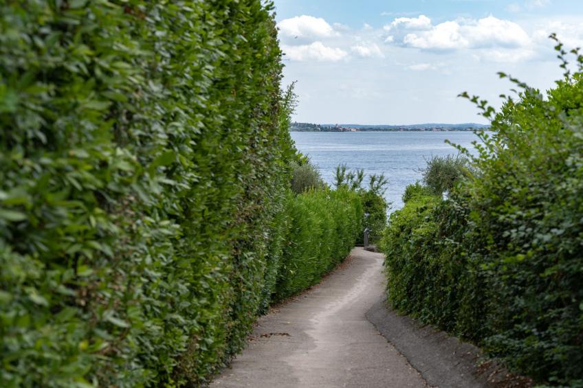 Ferienanlage Primera (MOG204) - foto 24