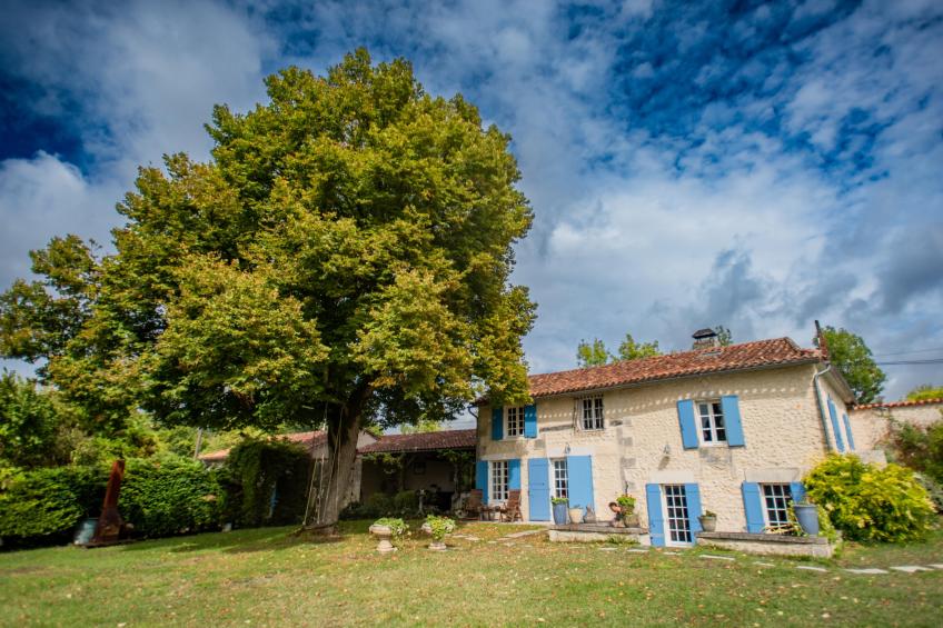 Maswari en Drapeau - foto 27