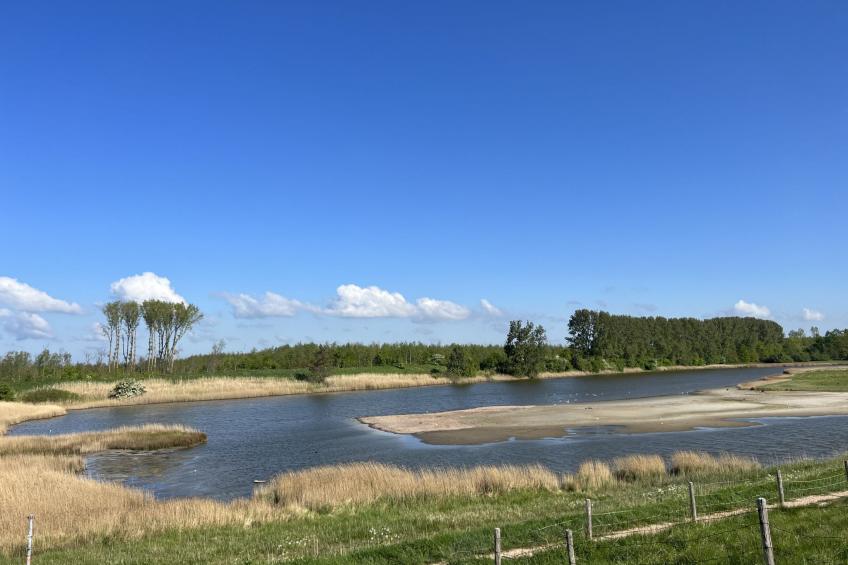 De Zeeparel - foto 14