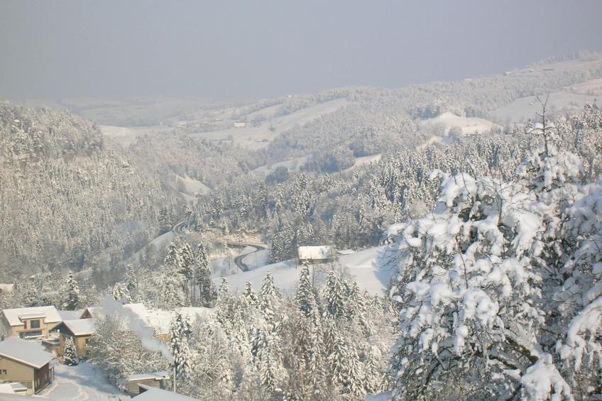 Sonnehöfli - foto 14