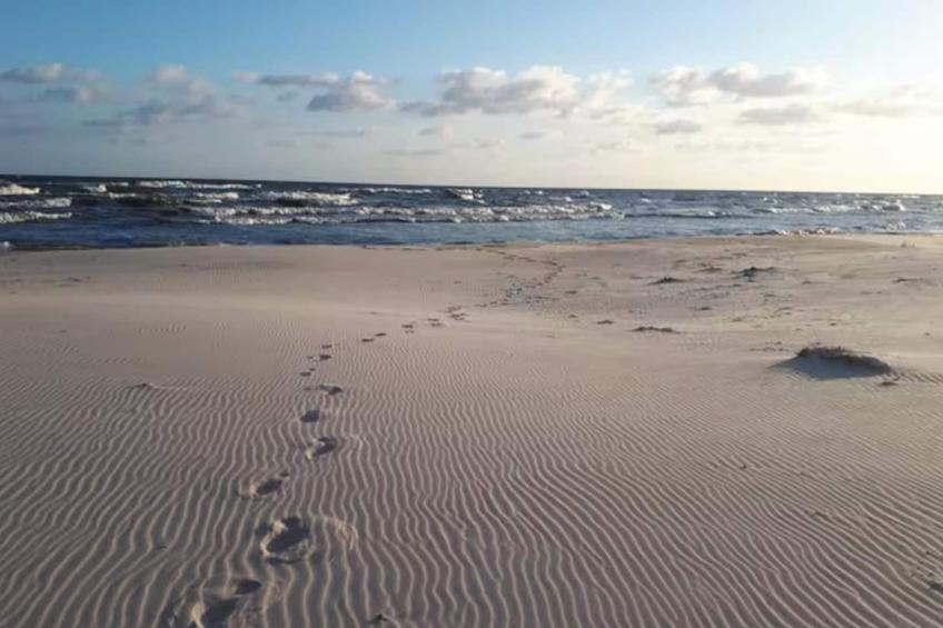 Vakantiehuis, Sasino - foto 47