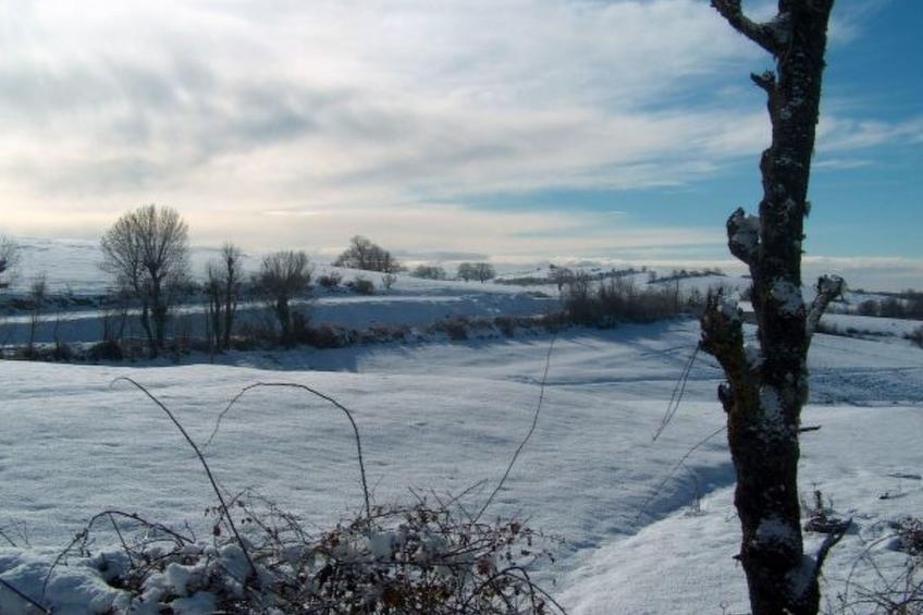 CASA LUIS GONZAGA - TORRE DA UNI. by VACATIONY - foto 4